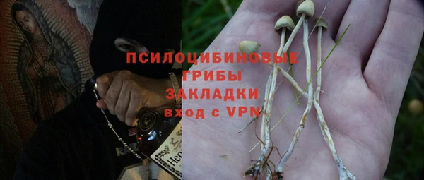 прущие крисы Кодинск
