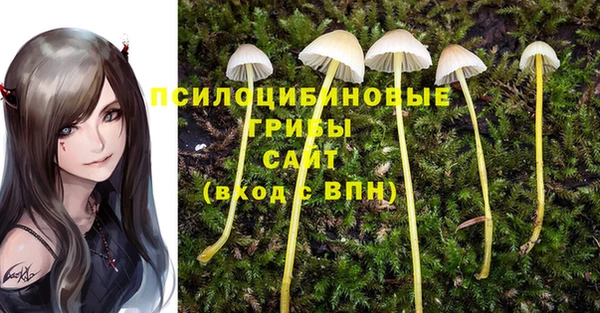 мяу мяу кристалл Козловка