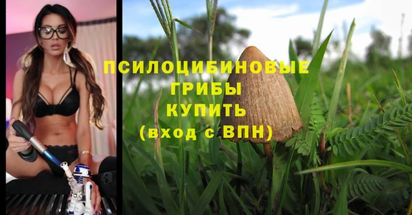 мяу мяу кристалл Козловка