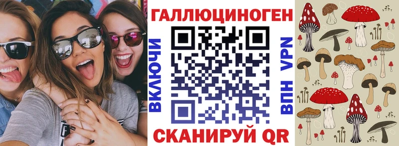Псилоцибиновые грибы Psilocybe  Купить закладки  Балахна 