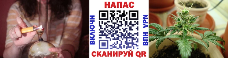 Канабис семена  Купить где  Балахна 